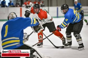 Eishockey_Augsburg_0608