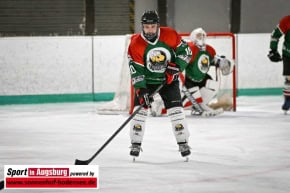 Eishockey_Augsburg_1012