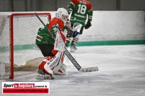 Eishockey_Turnier_0805