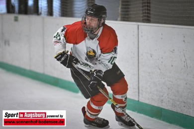 Eishockey_Augsburg_0601