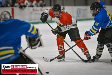 Eishockey_Augsburg_0607