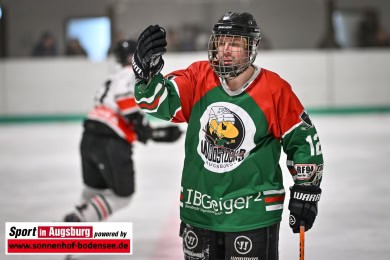 Eishockey_Augsburg_1050