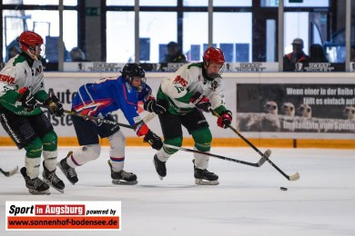 EV-Pinguine-ESC-Dorfen-Eishockey-U17-SIA_7800