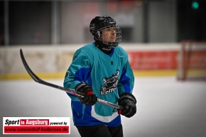 Icemans_Eishockey_3156