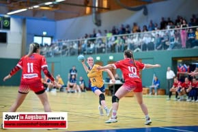 TG88-Pforzheim-Relegation-Handball_4816