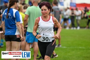 Landkreislauf-Guenzburg-SV-Mindelzell-Staffeln-DSC_9063