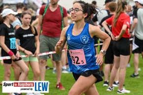 Landkreislauf-Guenzburg-SV-Mindelzell-Staffeln-DSC_9095