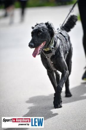 Laufeinsmehr-Charity-Run-Augsburg_9809