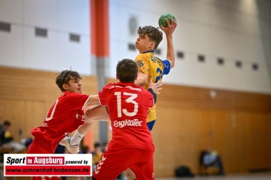 mA_Schwabmuenchen_Handball_AEV_6063