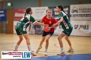 TSV_Haunstetten_Handball_Nachwuchs_9336