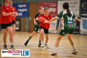 TSV_Haunstetten_Handball_Nachwuchs_9356