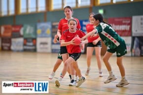 TSV_Haunstetten_Handball_Nachwuchs_9360