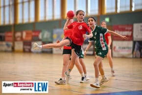 TSV_Haunstetten_Handball_Nachwuchs_9363