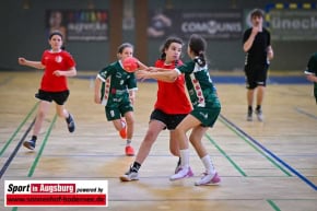 TSV_Haunstetten_Handball_Nachwuchs_9497