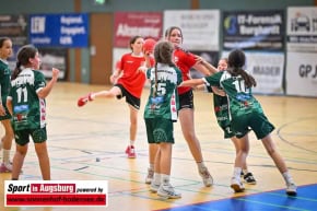 TSV_Haunstetten_Handball_Nachwuchs_9547