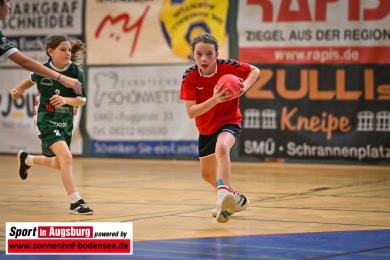 TSV_Haunstetten_Handball_Nachwuchs_9382