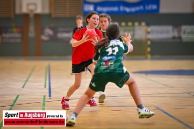TSV_Haunstetten_Handball_Nachwuchs_9397
