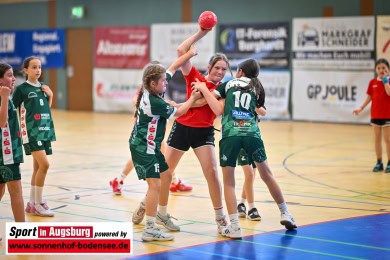 TSV_Haunstetten_Handball_Nachwuchs_9550