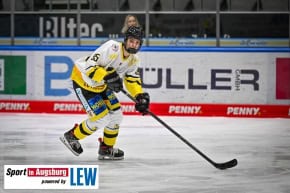 Eishockey_in_Augsburg_7228