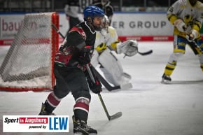 Eishockey_in_Augsburg_7540