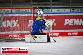 waldseebiber_Eishockey_3525