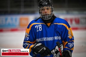 waldseebiber_Eishockey_3584