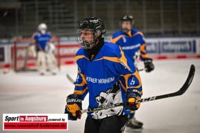 waldseebiber_Eishockey_3747