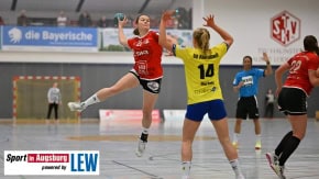 Handball_in_Augsburg_7869