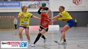 Handball_in_Augsburg_7879