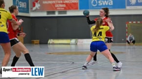 Handball_in_Augsburg_7922