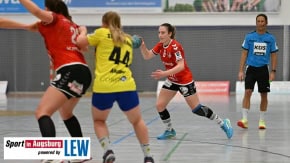 Handball_in_Augsburg_7971