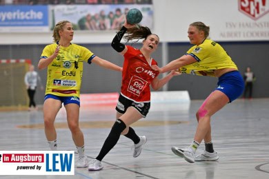 Handball_in_Augsburg_7879