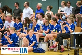 Handball_Frauen_Aufstieg_Schwabmuenchen_8852