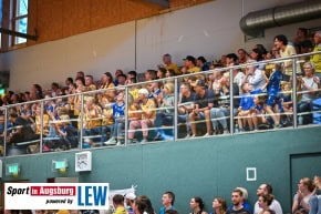 Handball_Frauen_Aufstieg_Schwabmuenchen_9012