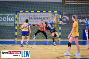 Handball_Frauen_Aufstieg_Schwabmuenchen_9163