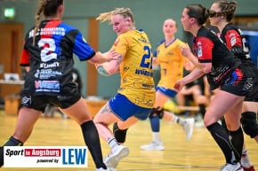 Relegation_Finale_Handball_Schwabmuenchen_9414