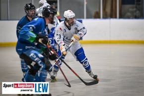 Skaterhockey_in_Augsburg_3772