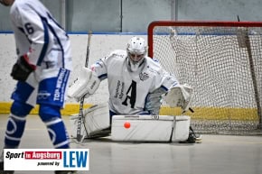 Skaterhockey_in_Augsburg_3778