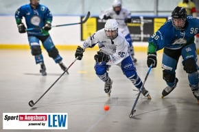 TVA_Skaterhockey_3902