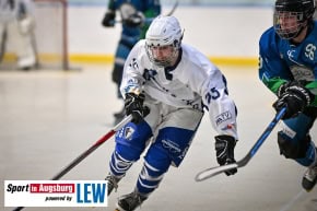 TVA_Skaterhockey_3905