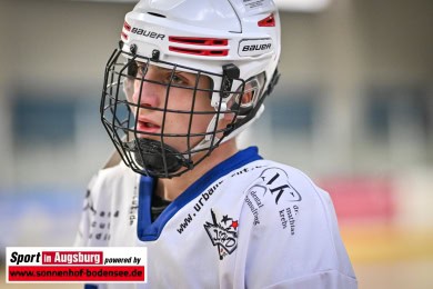TVA-Deggendorf_Skaterhockey_3953