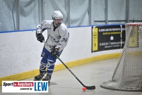 TVA-Skaterhockey_1760