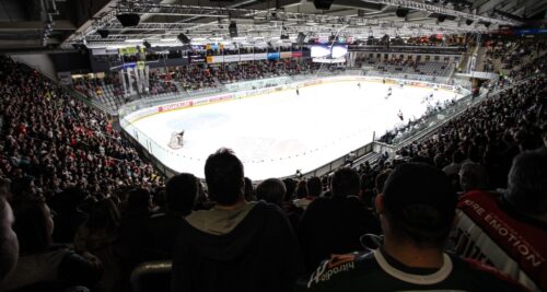 Die Augsburger Panther im Curt-Frenzel-Stadion.