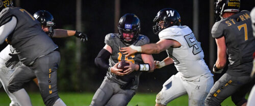 Nach einer sehr starken Saison ging es für die Augsburg Storm in den PlayOffs gegen die zweite Garde der Kirchdorf Wildcats.