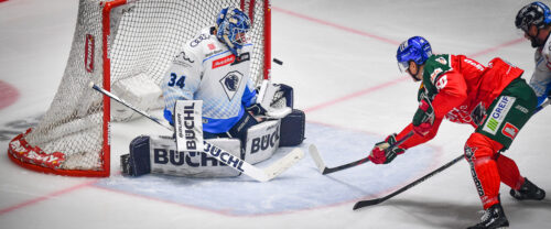 Augsburger Panther siegen im Derby und Saisonauftakt gegen den ERC Ingolstadt